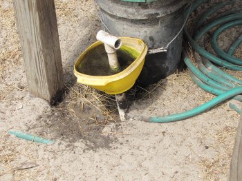 Chicken Waterer Still Kicking