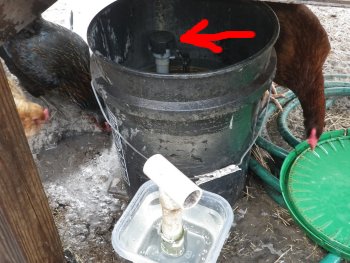 Adjust the chicken waterer toilet valve