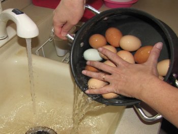 Drain the pot full of eggs