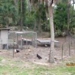 7 foot fence for chickens