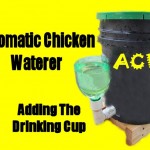 Adding the Drinking Cup to the Automatic Chicken Waterer