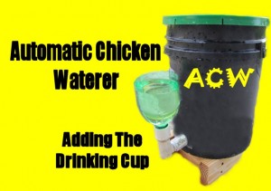 Adding the Drinking Cup to the Homemade Automatic Chicken Waterer