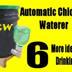 Automatic Chicken Waterer - 6 more ideas for Drinking Cup