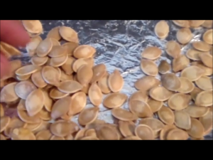 Finished roasted pumpkin seeds