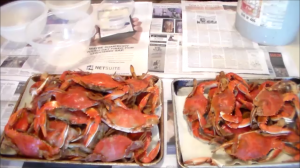 Ready to clean the cooked blue crab