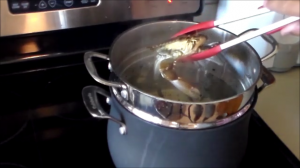 Putting the Crab in the Pot