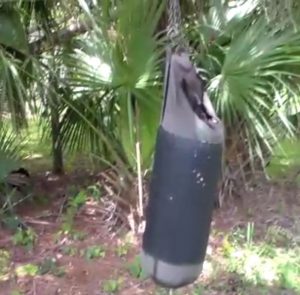 Punching bag hanger for Staghorn Ferns