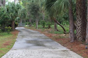 Cordless Blower Tackles Pine Needle Covered Driveway