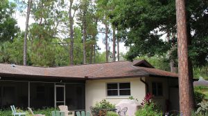 Pine Needles on Roof