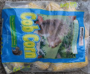 squirrel food